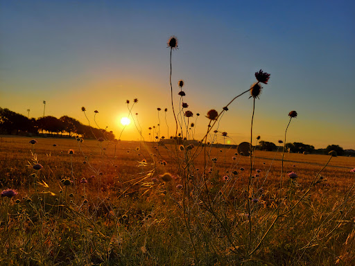 Recreation Center «Roanoke Recreation Center», reviews and photos, 501 Roanoke Rd, Roanoke, TX 76262, USA