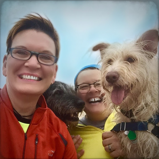 Pet Supply Store «The Natural Pet Outlet», reviews and photos, 3380 Fairfield Ave, Bridgeport, CT 06605, USA