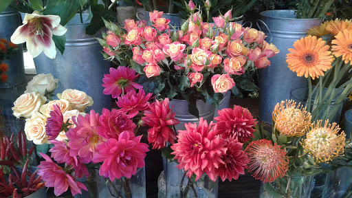 Florist «Wisteria Rockridge», reviews and photos, 6307 College Ave, Oakland, CA 94618, USA
