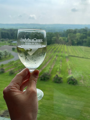 Winery «Six Mile Creek Vineyard», reviews and photos, 1551 Slaterville Rd, Ithaca, NY 14850, USA