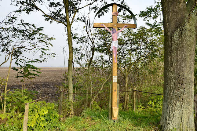 Opinii despre Hányás hidi kereszt în Jászberény - Múzeum