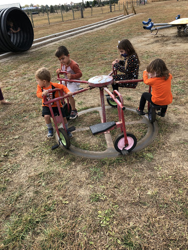 Christmas Tree Farm «Piney Acres», reviews and photos, 1115 E 1000 N, Fortville, IN 46040, USA