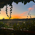 Photo n°3 de l'avis de oriana.r fait le 09/08/2023 à 20:54 sur le  Il NOCE Trattoria pizzeria à Pitigliano