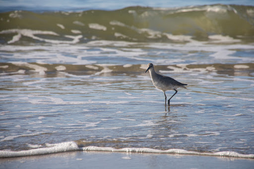 Golf Club «Oak Island Golf Club», reviews and photos, 928 Caswell Beach Rd, Oak Island, NC 28465, USA