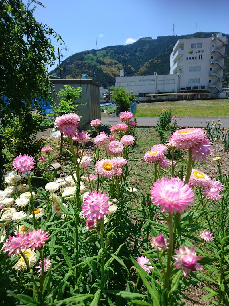 マルカブ佐藤製茶