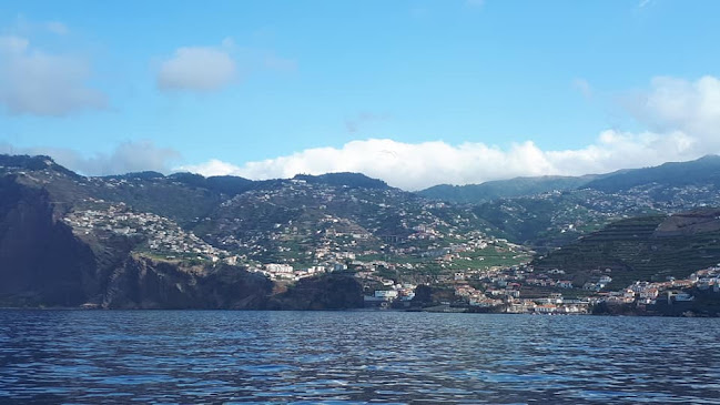 Avaliações doMadeira-Island-Tours em Funchal - Agência de viagens