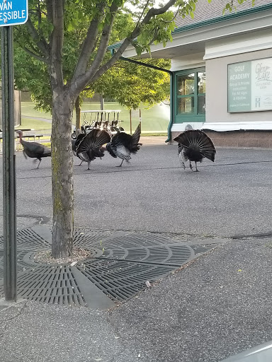 Golf Course «Glen Lake Golf Course», reviews and photos, 14350 County Rd 62, Minnetonka, MN 55345, USA