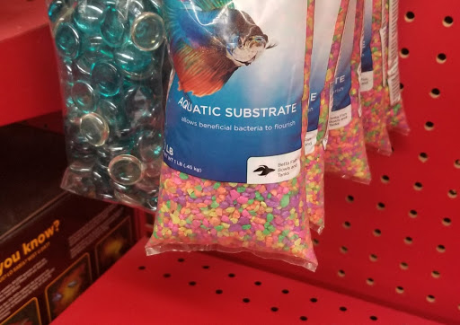 Pet Supply Store «Petco Animal Supplies», reviews and photos, 169 Parkingway, Quincy, MA 02169, USA