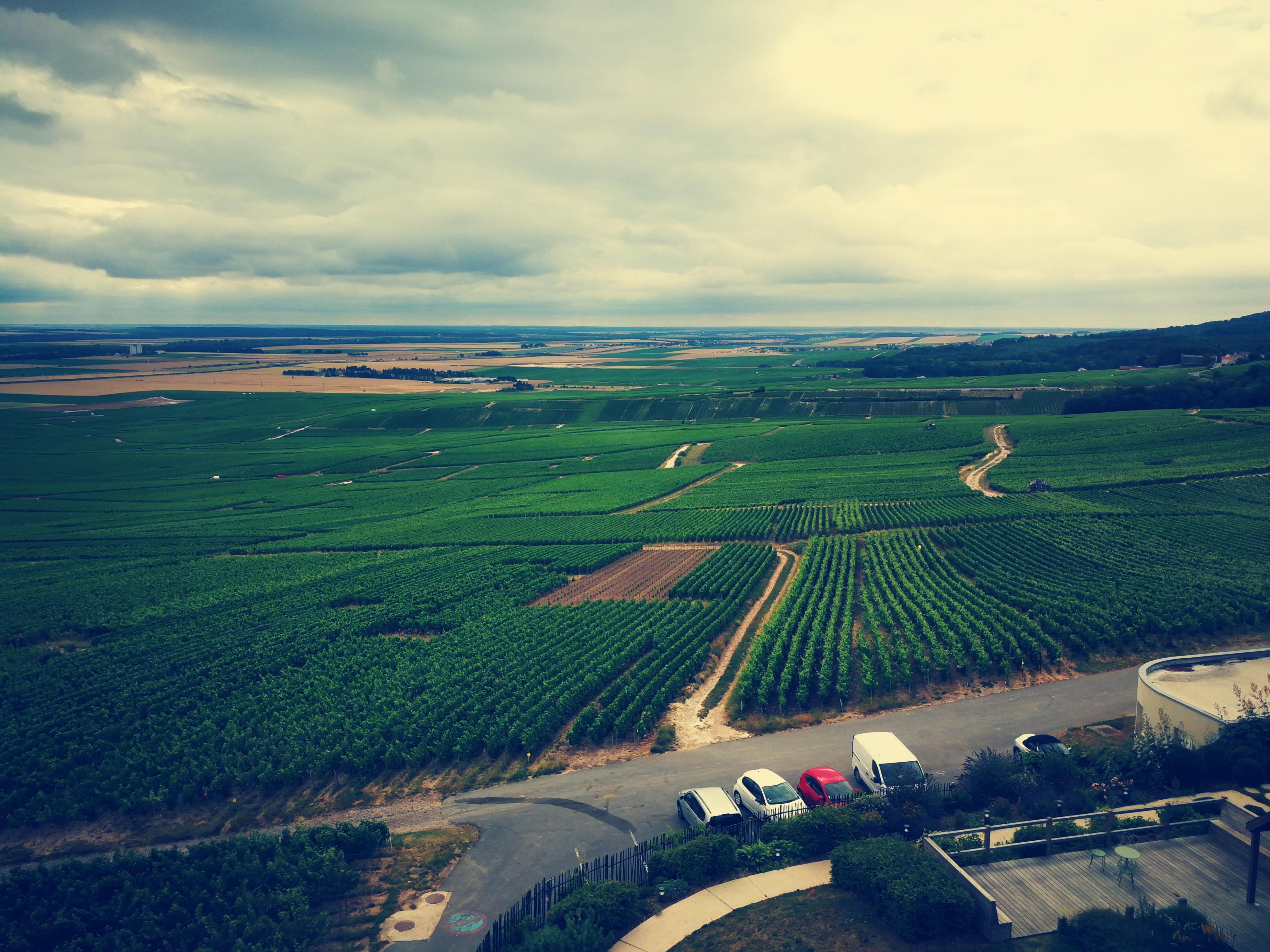 Photo n° 4 de l'avis de alfonse.n fait le 04/07/2020 à 17:55