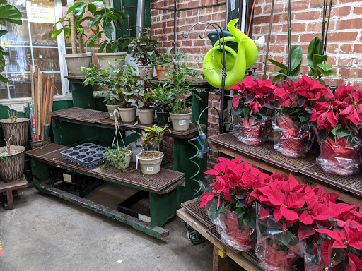 Wholesale Florist «Oakland Flower Market», reviews and photos, 821 Jefferson St, Oakland, CA 94607, USA