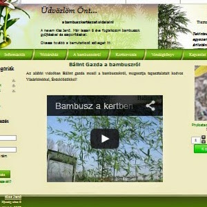 Bambuszkertészet - Kertészkedő