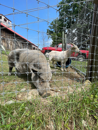 Winery «Gilmanton Winery and Restaurant», reviews and photos, 528 Meadow Pond Rd, Gilmanton, NH 03237, USA