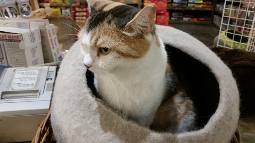 Pet Store «Next to Nature», reviews and photos, 4543 California Ave SW, Seattle, WA 98116, USA