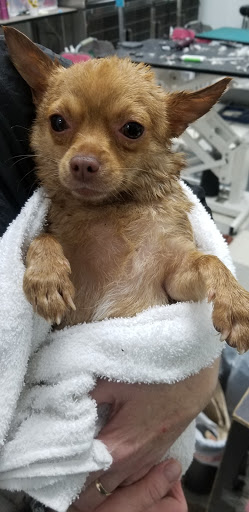 Shopping Mall «Hampton Plaza Shopping Center», reviews and photos, 4033 W Mercury Blvd, Hampton, VA 23666, USA