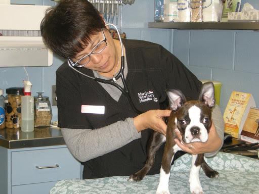Martin Veterinary Hospital image