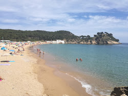 Photo de Plage de Castell de la Fosca zone des équipements