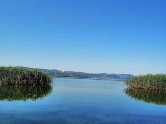 T.c Kirkpinar Soğuksu Mahalle Muhtarliği