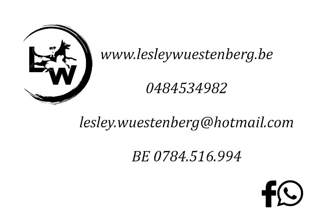 Beoordelingen van Lesley Wuestenberg Hondencoach en Dierenoppas in Leuven - Hondentrainer