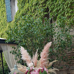 Photo n°2 de l'avis de andrea.i fait le 23/06/2023 à 10:05 sur le  Azienda Agricola Palazzo Manzoni à San Zaccaria