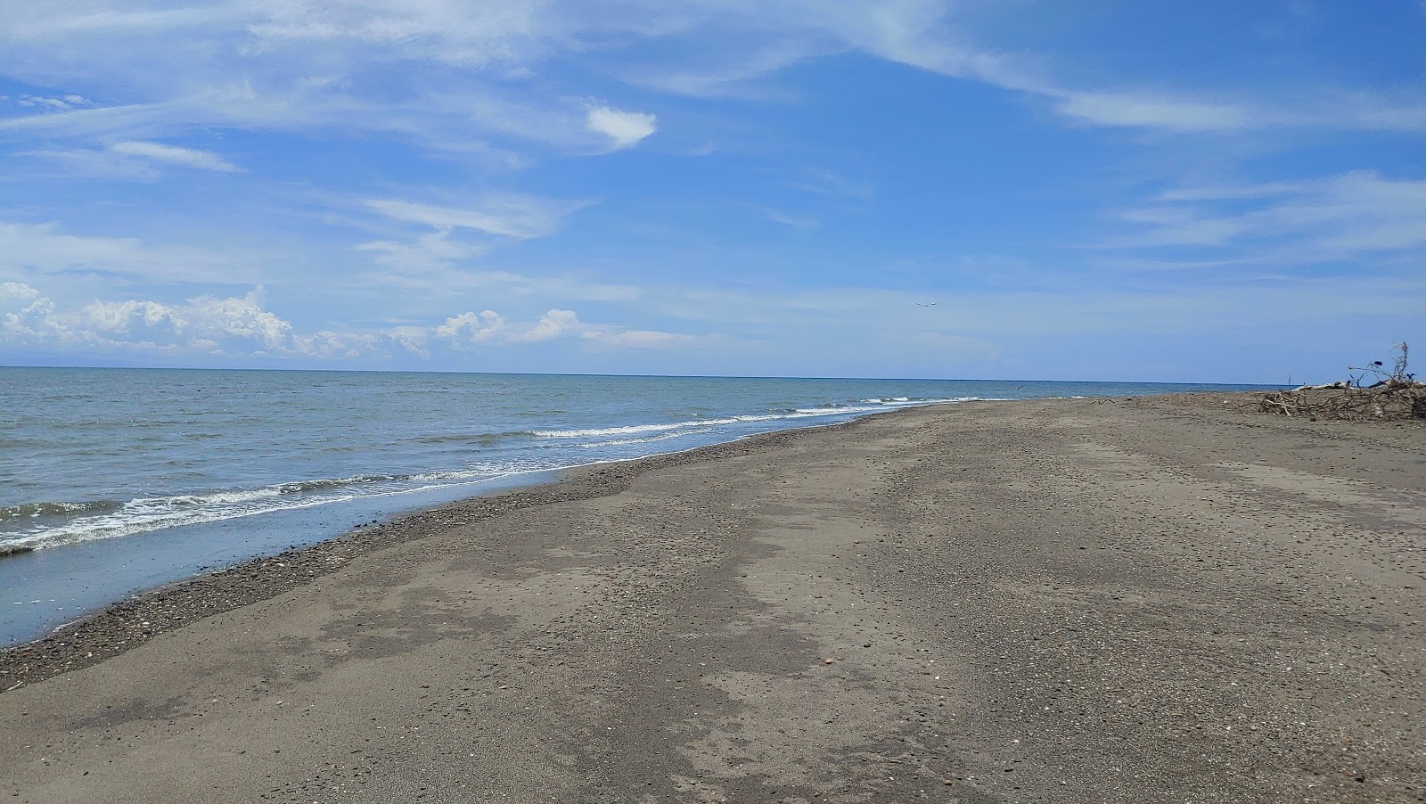 Photo de Puerto Guarare Beach avec sable brun de surface