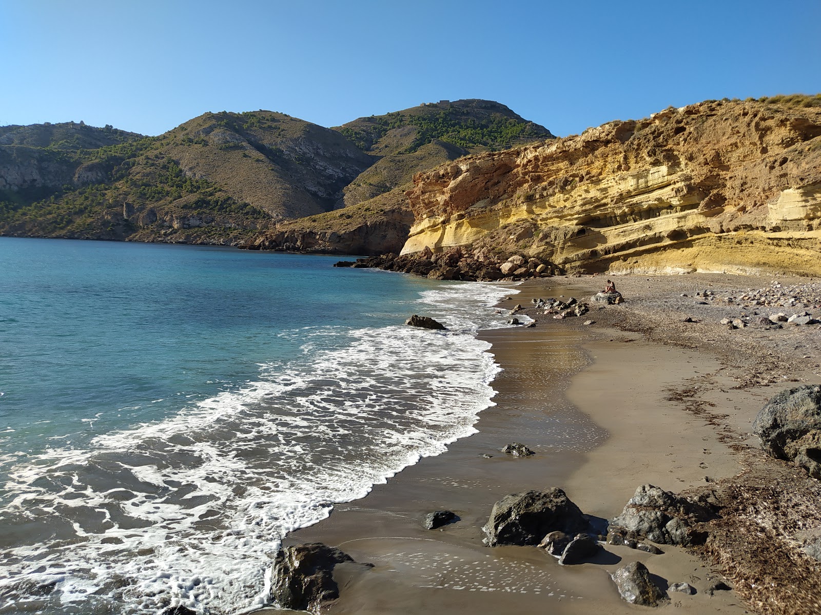 Foto de Playa de la Avispa con arena gris y guijarros superficie