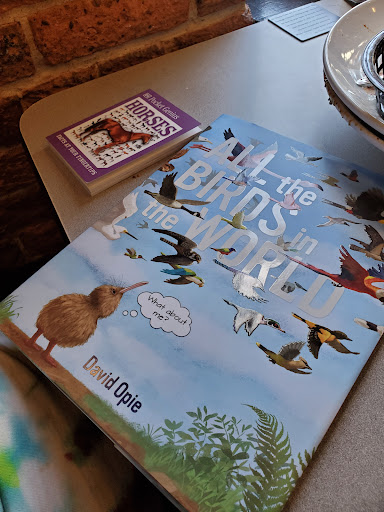 Toy Store «Ali Cat», reviews and photos, 200 N Greensboro St, Carrboro, NC 27510, USA