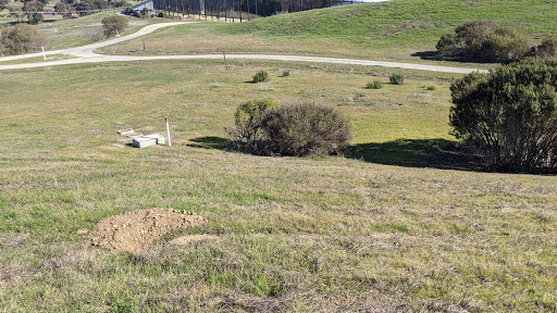 Event Venue «Shoreline Amphitheatre», reviews and photos, 1 Amphitheatre Pkwy, Mountain View, CA 94043, USA