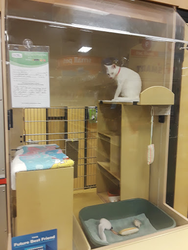 Pet Supply Store «PetSmart», reviews and photos, 1345 Wendy Ct, Spring Hill, FL 34607, USA