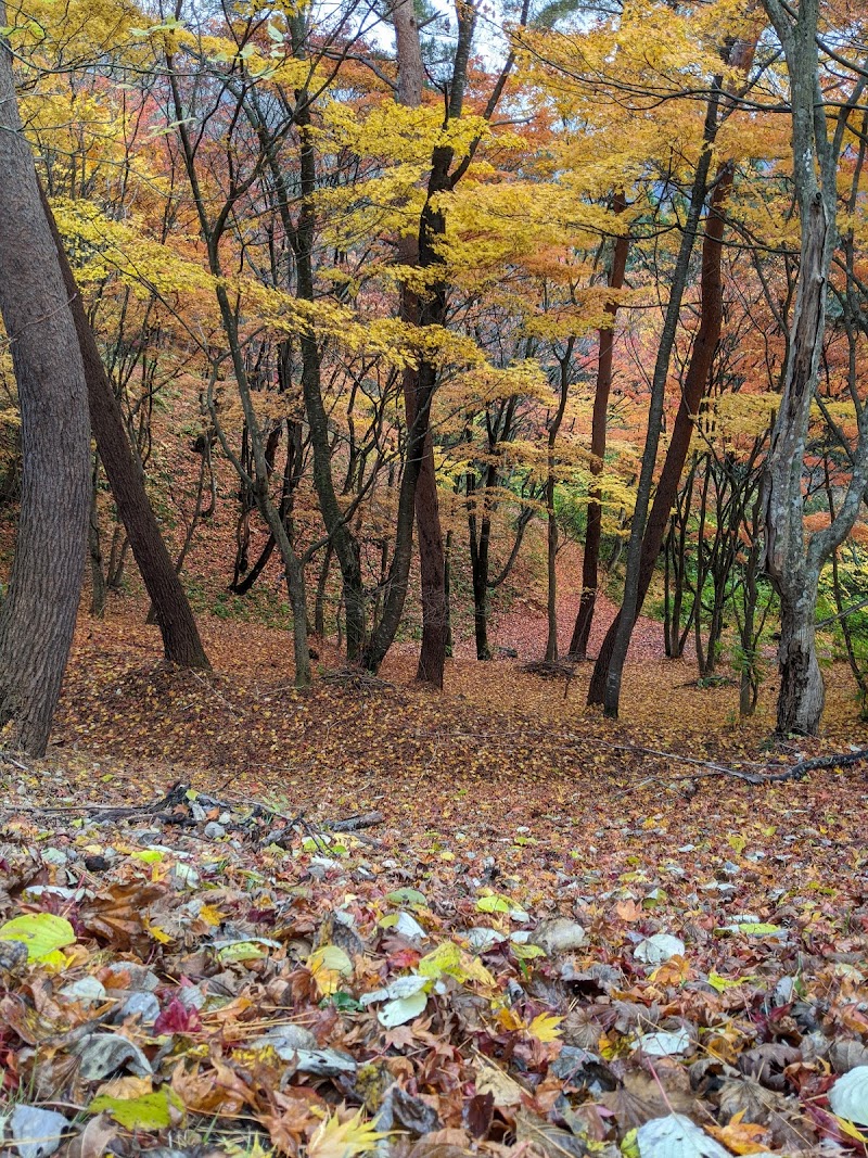 三笠山公園