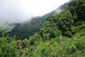 Adukkam Forest image