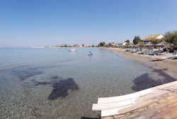 Paralia Alikes'in fotoğrafı imkanlar alanı