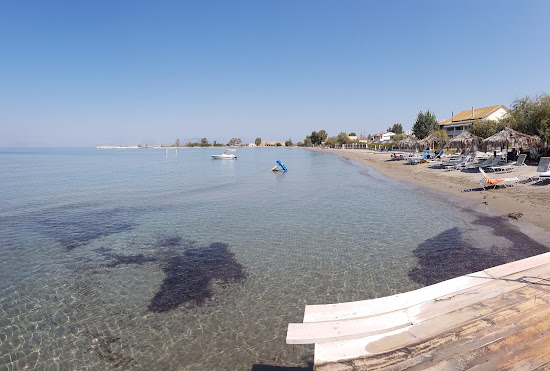 Paralia Alikes