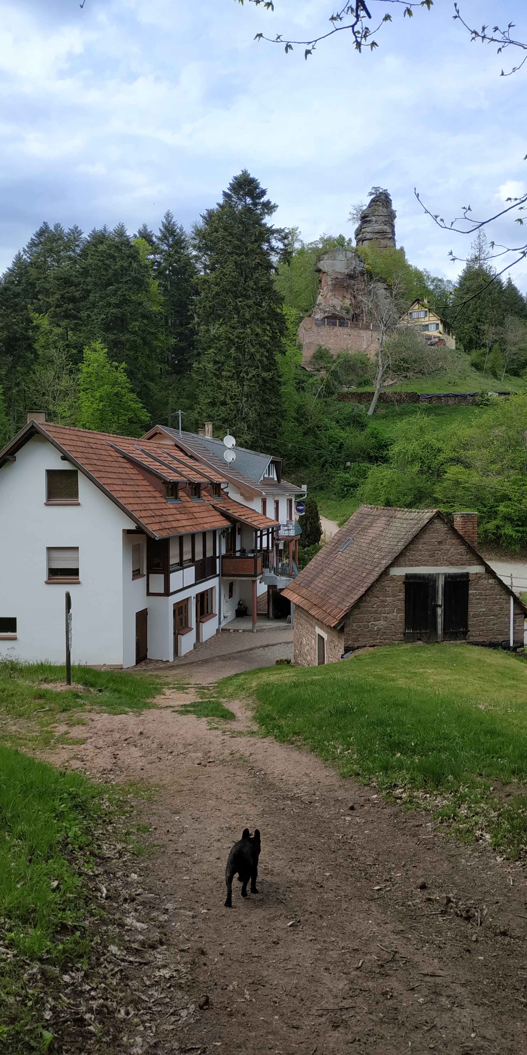 Photo n° 5 de l'avis de Sorti.u fait le 09/05/2021 à 14:56