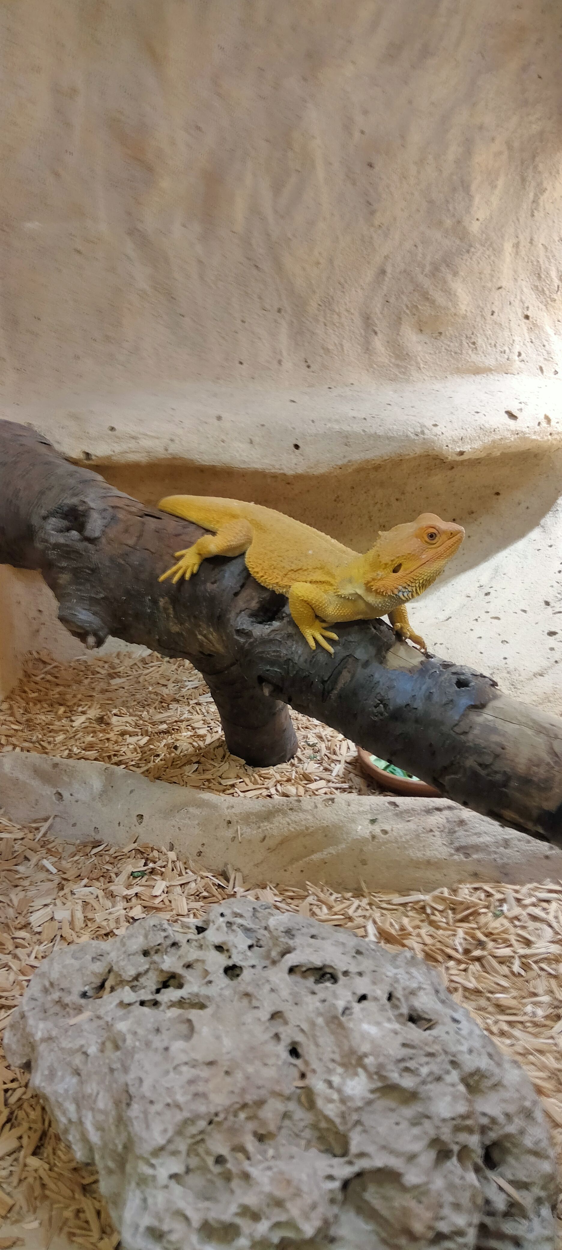 Photo n° 8 de l'avis de Dany.u fait le 19/03/2023 à 19:21