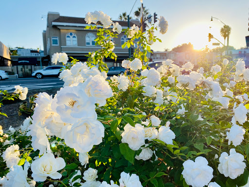 Clothing Store «Patagonia Cardiff-by-The-Sea», reviews and photos, 2185 San Elijo Ave, Cardiff, CA 92007, USA