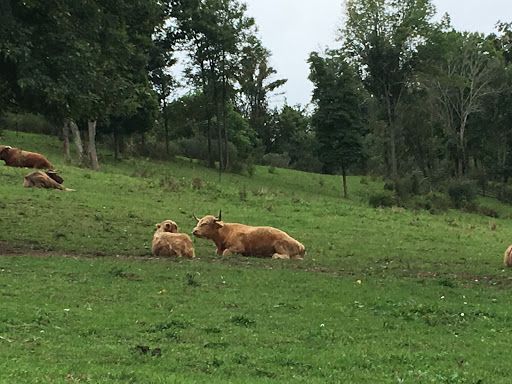 Event Venue «Rivercrest Farm», reviews and photos, 6612 Boy Scout Rd NE, Dover, OH 44622, USA