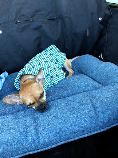 Pet Supply Store «Petco Animal Supplies», reviews and photos, 3535 Perkins Rd #305, Baton Rouge, LA 70808, USA