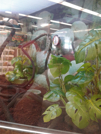 Pet Supply Store «Petco Animal Supplies», reviews and photos, 13 Welles St, Glastonbury, CT 06033, USA