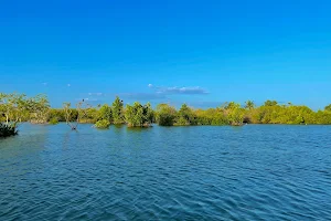 Munroe Island image