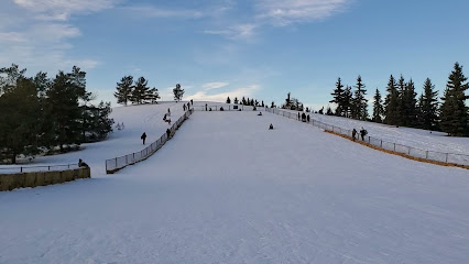 Rundle park sled hill (A)