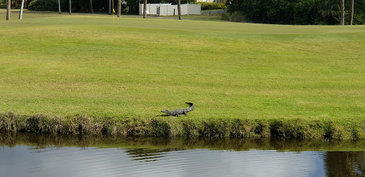 Golf Club «Turtle Creek Golf Club», reviews and photos, 1278 Admiralty Blvd, Rockledge, FL 32955, USA