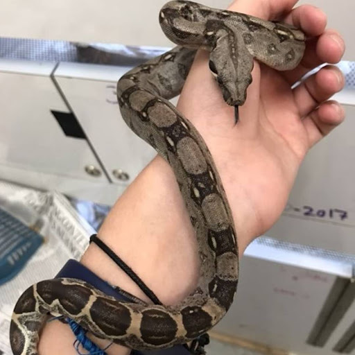 Pet Store «Friendly Pets», reviews and photos, 625 Friendly Center Rd, Greensboro, NC 27408, USA