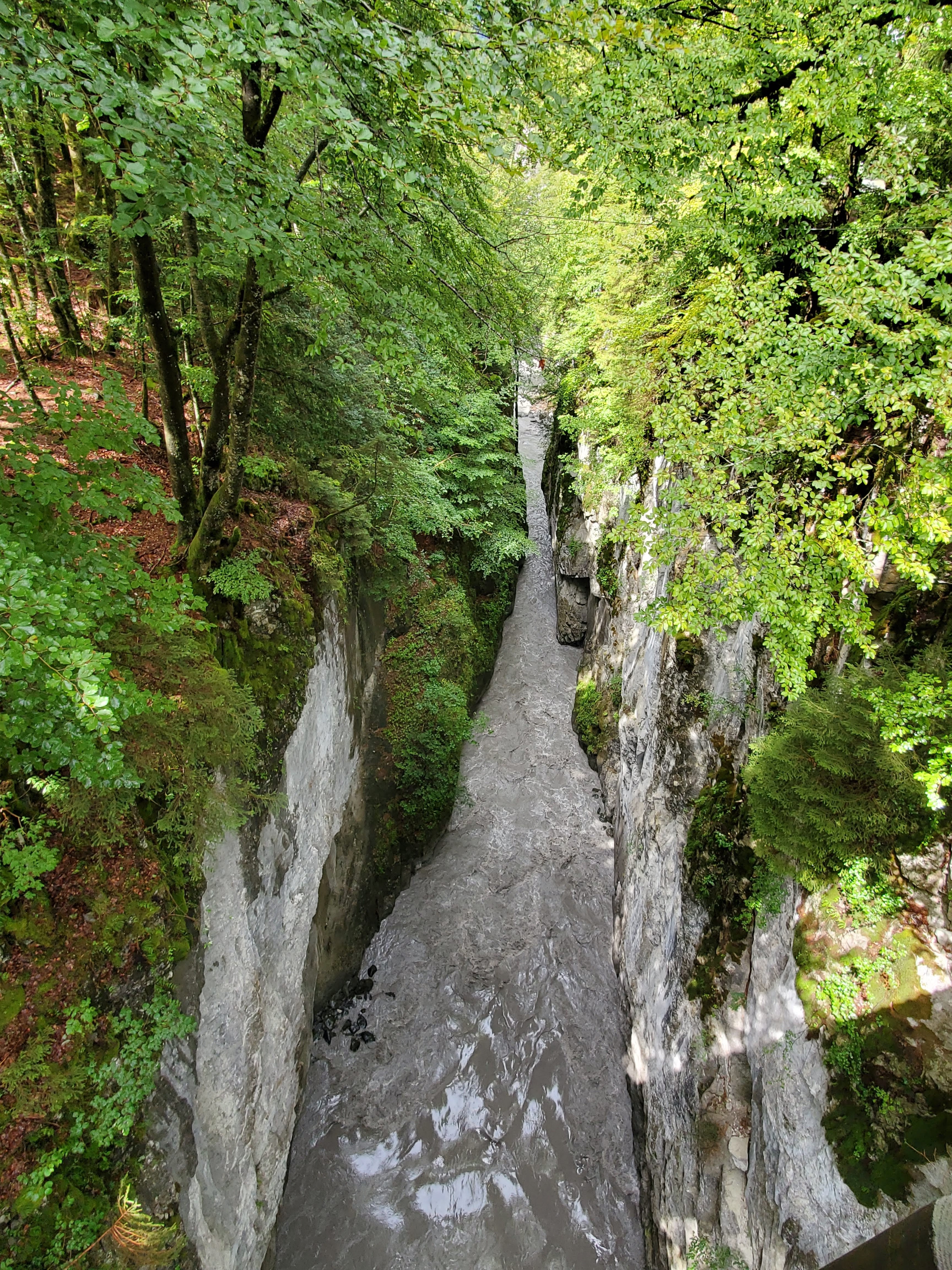 Photo n° 2 de l'avis de Yuval. fait le 15/08/2019 à 04:14