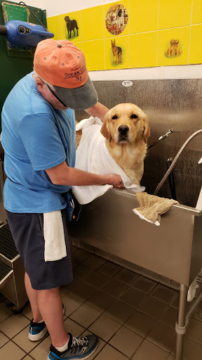 Pet Supply Store «Pet Supplies Plus», reviews and photos, 771 Gap Newport Pike, Avondale, PA 19311, USA