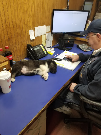 Auto Repair Shop «Okemos Marathon», reviews and photos, 2104 Hamilton Rd, Okemos, MI 48864, USA