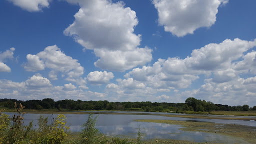 Park «Dr. Martin Luther King Jr. Park», reviews and photos, 42 N Farnsworth Ave, Aurora, IL 60505, USA