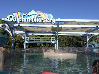 Dolphin Nursery