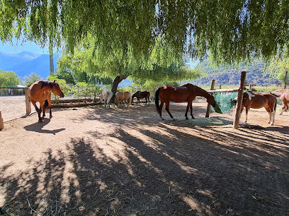 Cavallo Reitsportanlage