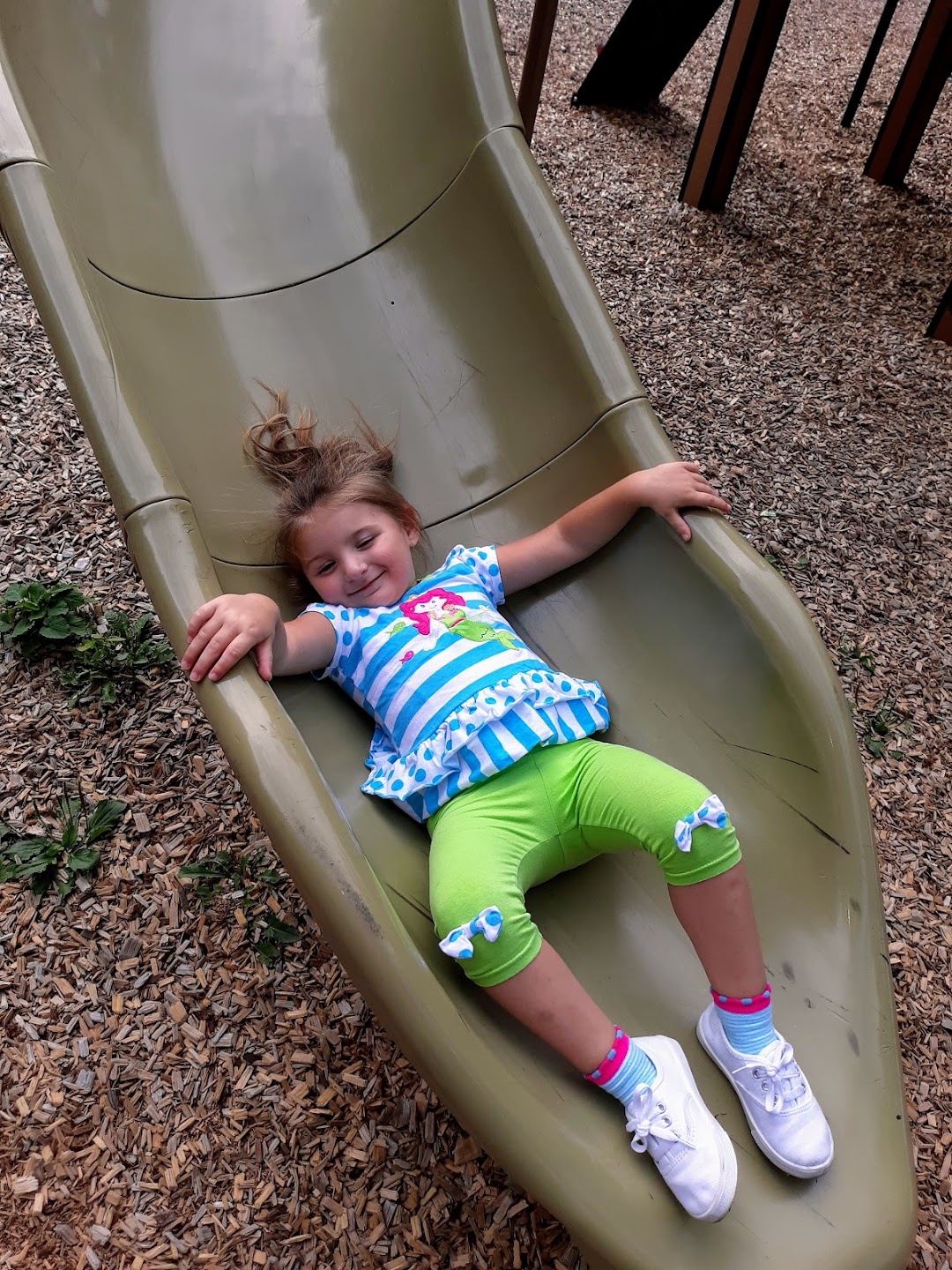 Brown and Mitchell Park