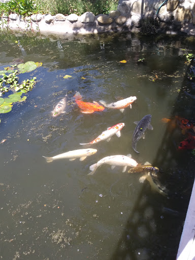 Florist «Loose Caboose LLC», reviews and photos, 18492 E Telegraph Rd, Santa Paula, CA 93060, USA